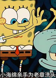 海绵宝宝：老章失业了，却住进了小海绵家！
