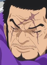 我和爷爷说，我的同学们都爱看《航海王》生命的极限阻止死之鸟笼