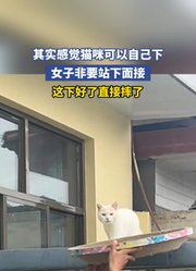 其实感觉猫咪可以自己下来，女子非要站下面接，这下好了直接摔了