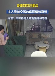 爱宠回到汪皇后主人看着空荡的房间情绪崩溃