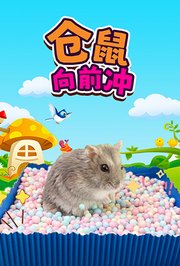 仓鼠向前冲