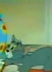 《猫和老鼠方言版》太好看了，学校里的好朋友都在讨论