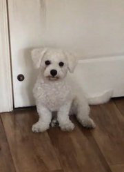 香香……香肠嘴好性感