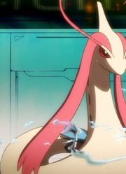 神奇宝贝里也有大吊萌妹？你以为我是萌妹纸，掏出来比你都大！