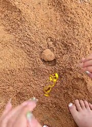鲁米开心哦