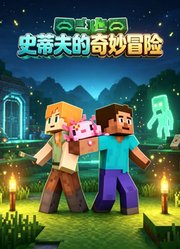 史蒂夫的奇妙冒险