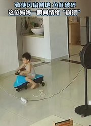 孩子在家玩摇摇车车轮勾到插排电线，致使风扇倒地鱼缸破碎。