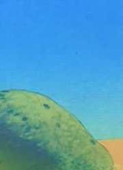 我和老师说，班里最好的朋友都爱看《猫和老鼠高清版》星期五的小猫