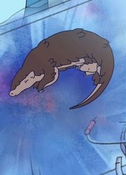 子宫大冒险传媒大学2014级动画专业毕业作品