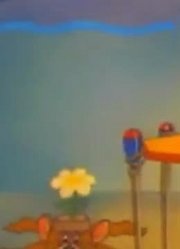 怎么之前没早看《猫和老鼠上海方言版》，之前看的都什么