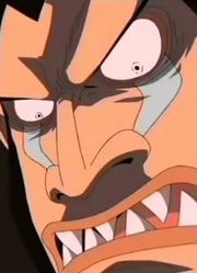 海贼王草帽vs毒毒果实2