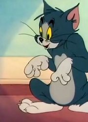 猫和老鼠挫败的猫汤姆二