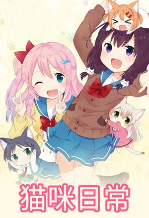 猫咪日常