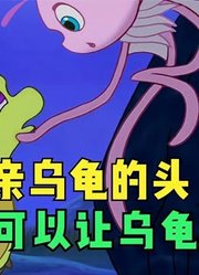 小鲤鱼历险记：原来亲乌龟的头，真的可以让乌龟博奇