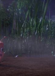 空闲时间看了《爆笑虫子》，这集小虫子推荐大家都来看一下