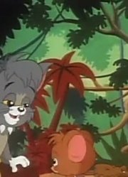 《小小猫和老鼠》小小猫和老鼠真的厉害，小区里的小伙伴都在讨论