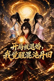 开局被退婚，我觉醒混沌丹田