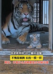 母老虎带娃，这一幕好温馨！不愧是娘俩，长的一模一样