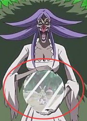 这几颗恶魔果实带东西很方便，一个储存无上限，一个像移动的要塞