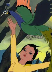 两只小孔雀