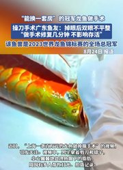 “能换一套房”的冠军龙鱼做手术