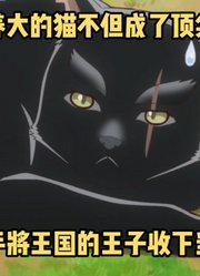 七月新番：龙皇养大的小猫不但成了顶尖强者，还收了王子当徒弟