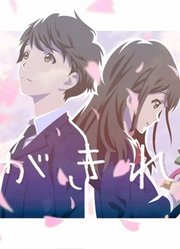 月色真美，狗粮真甜