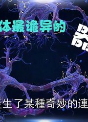 人体非自然进化的诡异器官！能自我繁殖、拥有独立生命意识！