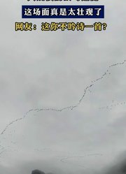 大规模的候鸟迁徙，这场面真是太壮观了