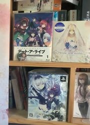 【moon】Fate十五周年限定画册开箱~ReturntoAVALON~武内崇~Saber花嫁纪念挂画