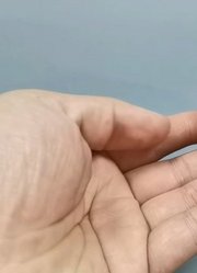 变形金刚超能勇士灭世魔仆毒虫