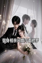 替身相亲闪婚冷面修罗