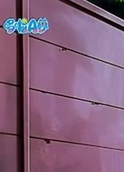 小皇帝一回家就老看《哆啦A梦》回心转意胸针，游戏都不玩了