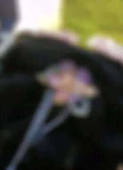 花有重开日，人无再少年。等你长大就知道了#风里有了秋的味道