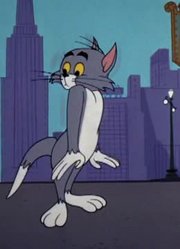 实话实说,汤姆的能量可能是《猫和老鼠》里最值得看的了呢