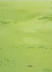 我家小孩最近迷上了《哆啦A梦》空中花园，到底有什么好玩的