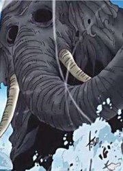 海贼王：不自量力的6人，1人赏金高达10亿，被象主秒杀