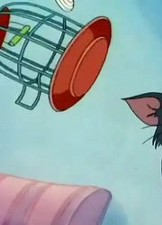 猫和老鼠挫败的猫汤姆一