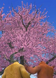 从《熊出没》看国产动画现状