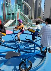 事情并非如鲁米所想