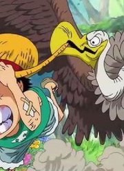 海贼王：4大强者的训练方式，1个差点要了路飞的命，1个天天战斗