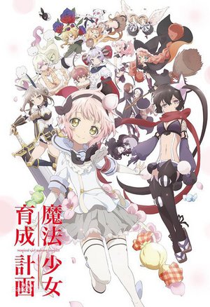 魔法少女育成计划