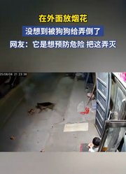 在外面放烟花，没想到被狗狗给弄倒了