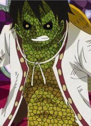 海贼王：假如让你选一种果实能力，你选哪一种？男生最爱第六种！