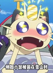 你知道宝可梦在精灵球干什么吗？