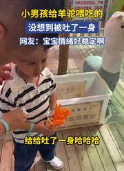 小男孩给羊驼喂吃的，没想到被吐了一身