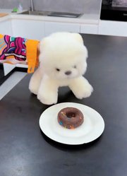 鲁米吃屎啦！#kpop