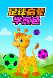 足球启蒙学颜色