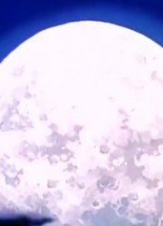 《哆啦A梦经典版》採卵液与鲑鱼真的厉害，大家都在讨论