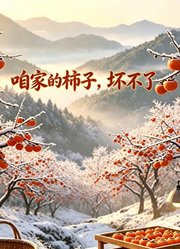 咱家的柿子，坏不了